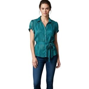 Notations Teal Swiss Dot Striped Puff Sleeve Button Up Blouse XL Semi-Sheer